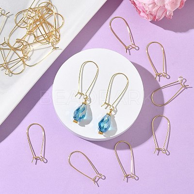 SHEGRACE Brass Kidney Ear Wire XGR0004G-43G-1