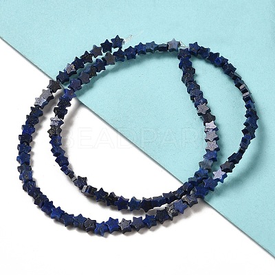 Natural Lapis Lazuli Beads Strands G-G085-B02-01-1