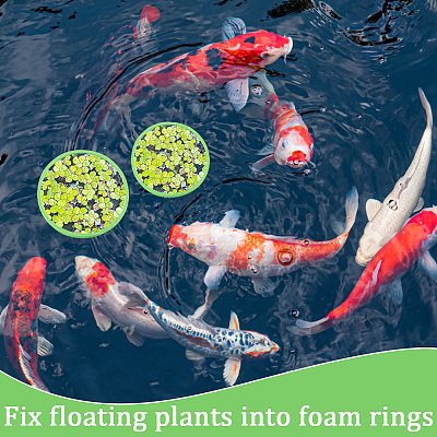 2 Sets EVA Foam Feeding Ring for Fish AJEW-CN0002-52B-1