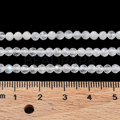 Natural Rainbow Moonstone Beads Strands X-G-J400-E12-01-1
