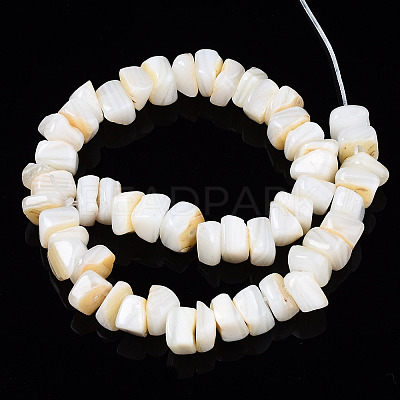 Natural Freshwater Shell Beads Strands X-SHEL-S278-042-1