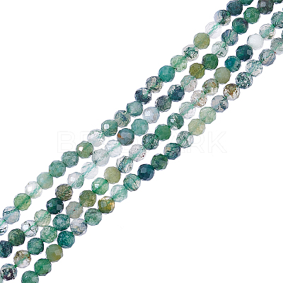 2 Strands Natural Moss Agate Beads Strands G-NB0004-12-1