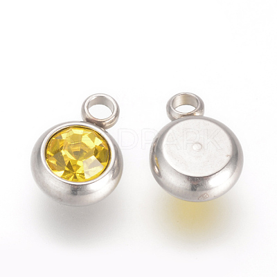 201 Stainless Steel Rhinestone Charms STAS-S068-11-1