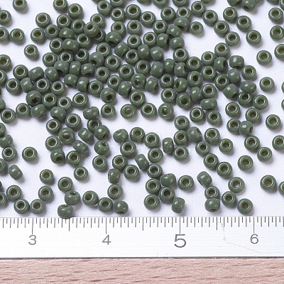 MIYUKI Round Rocailles Beads SEED-G007-RR0501-1