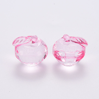 Transparent Acrylic Pendants TACR-T024-05B-903-1