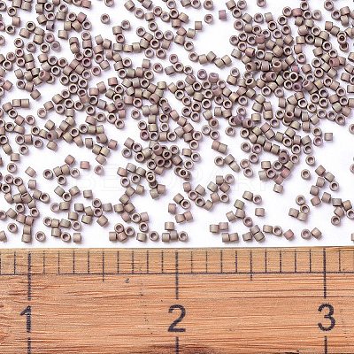 MIYUKI Delica Beads SEED-X0054-DB1061-1
