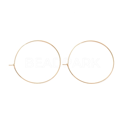 Ion Plating(IP) 316L Surgical Stainless Steel Hoop Earring Findings STAS-D164-06G-A-1