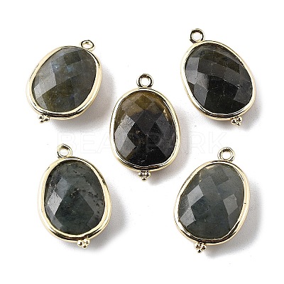 Natural Labradorite Faceted Oval Connector Charms G-H323-02G-09-1