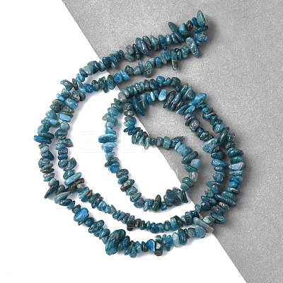 Natural Apatite Beads Strands X-G-F666-01B-02-01-1