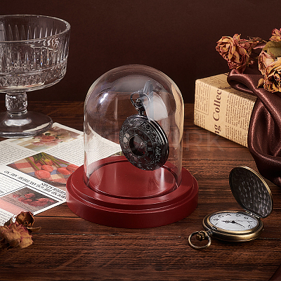 Transparent Glass Shade with Wood Base Watch Display Stand ODIS-WH0038-138-1