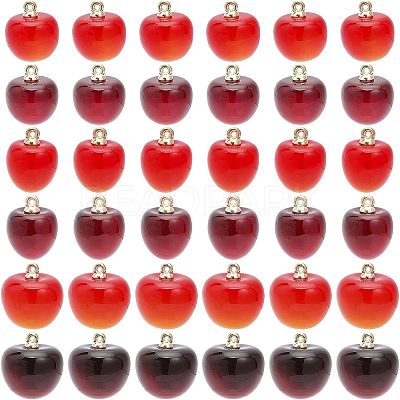 36Pcs Plastic Pendants KY-CA0001-42-1