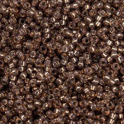 MIYUKI Round Rocailles Beads SEED-G009-RR0641-1