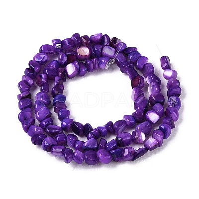 Natural Freshwater Shell Beads Strands SHEL-N037-04H-1