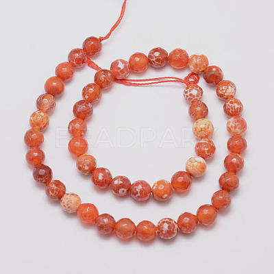 Natural Fire Crackle Agate Bead Strands G-K166-07F-8mm-10-1