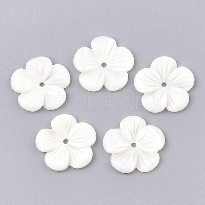 Freshwater Shell Beads SHEL-S274-08-1