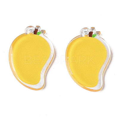 Translucent Acrylic Pendants TACR-N013-013-1
