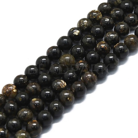 Natural Biotite Beads Strands G-P457-C02-01-1