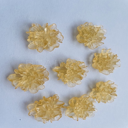 Transparent Resin Cabochons RESI-G027-01C-1