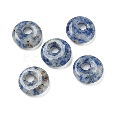 Natural Blue Spot Jasper Donut/Pi Disc Charms G-G142-02E-1