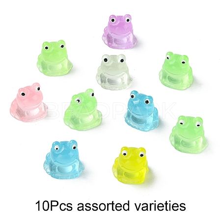 10Pcs Luminous Resin Display Decorations RESI-YW0004-11B-1