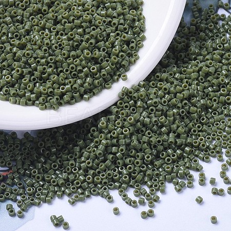 MIYUKI Delica Beads LS-X-SEED-J020-DB1135-1