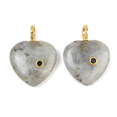 Natural Labradorite Pendants G-D104-01G-10-1