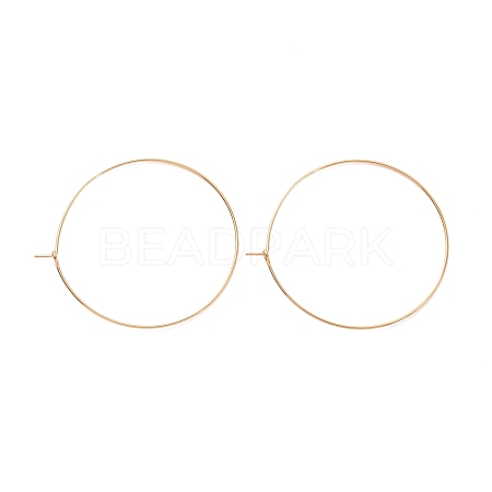 Ion Plating(IP) 316L Surgical Stainless Steel Hoop Earring Findings STAS-D164-06G-A-1