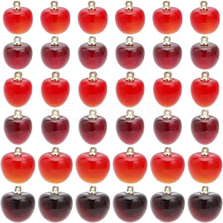 36Pcs Plastic Pendants KY-CA0001-42-1