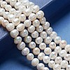 Natural Cultured Freshwater Pearl Beads Strands A02S7013-2