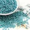 Glass Seed Beads X-SEED-S042-04B-23-1