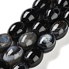 Natural Eye Agate Beads Strands G-NH0019-D04-04-1