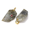 Natural Mixed Stone Pendants GG-CBA51ED-04G-4