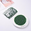 6/0 Glass Seed Beads X1-SEED-A006-4mm-107-5