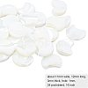 1 Strand Natural White Shell Beads Strands SSHEL-BC0001-18-2
