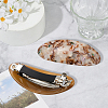2Pcs 2 Colors Resin and Iron Hair Barrettes PHAR-GO0001-07B-3