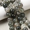 Natural Fuchsite Beads Strands G-K285-40D-1-1