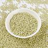 MIYUKI Round Rocailles Beads X-SEED-G008-RR0554-2