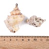 Electroplate Natural Sea Shell Big Pendants SSHEL-Q100-23KCG-3