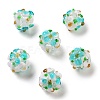 Handmade Lampwork Beads Strands LAMP-N021-015A-12-2