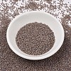 MIYUKI Delica Beads SEED-MY11-DB1749-2