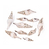 Electroplate Natural Sea Shell Pendants SSHEL-Q100-08KCG-1