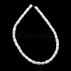 Natural Freshwater Shell Beads Strands SH-CBA2978-21A-3