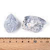 Natural Angelite Display Decorations G-N347-11B-4