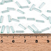 Glass Bugle Beads X-SEED-N007-28F-4