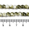Baking Paint Glass Bead Strands GLAA-H031-01A-14-5
