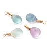 Natural Fluorite Pendants PALLOY-JF00607-1