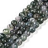 Natural Moss Agate Bead Strands G-J358-01-6mm-1