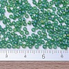 MIYUKI Round Rocailles Beads X-SEED-G007-RR0146FR-4