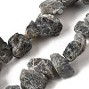 Natural Labradorite Beads Strands G-S386-B04-2