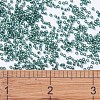 MIYUKI Delica Beads SEED-X0054-DB0607-4